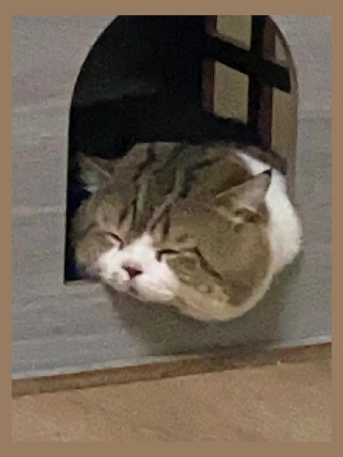 005Zk4Aqgy1idtpsg25jrj30zk1bfjuk.jpg