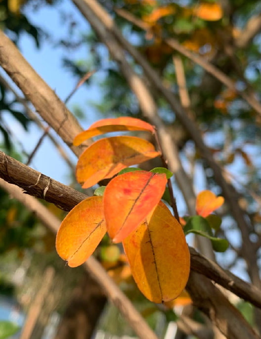 photo_2026-09-24_23-01-13.jpg