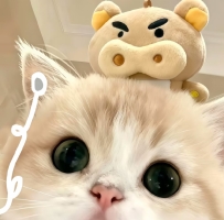 可愛死了的諧音暱稱