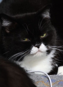 有時候我一句也不想說