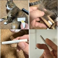 吸貓
