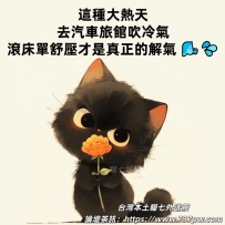 在這個𝟑𝟖 ℃的天氣.不熟也沒關係 找貓七約個妹我們就熟了