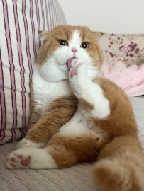 咪：人 敢聞嗎