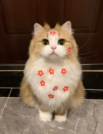 咪：人  你也要經常獎勵自己